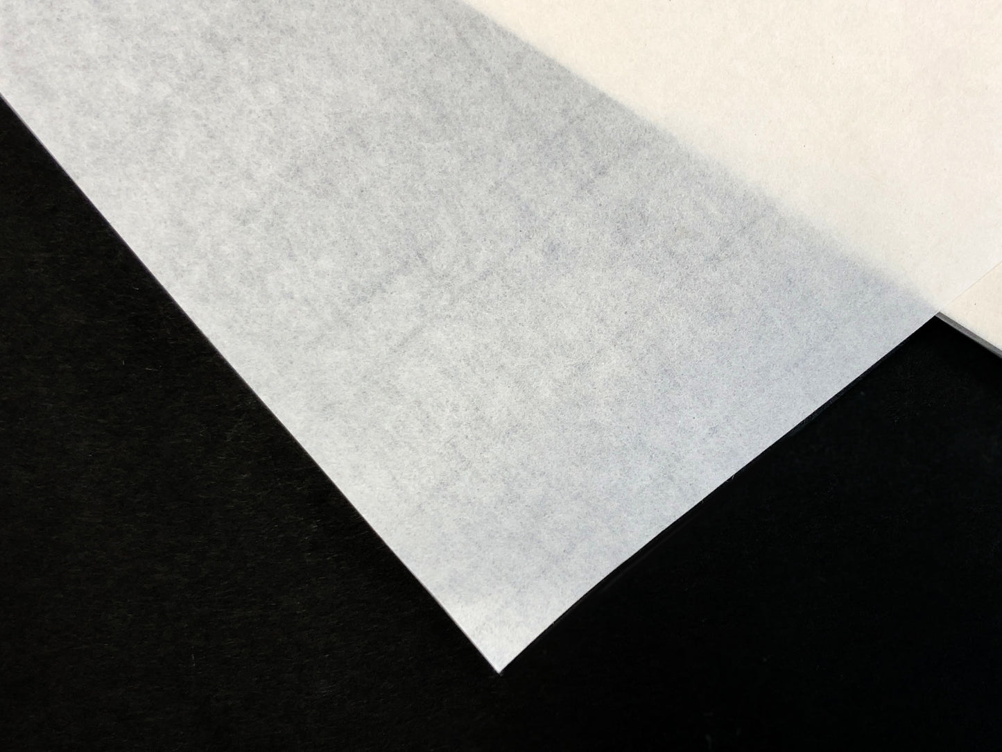 因州手漉画仙紙 白蘭 <佐治産>