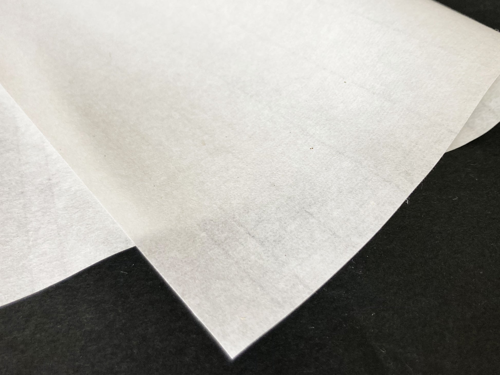 画仙紙 生藁 因州和紙 書道 水墨画