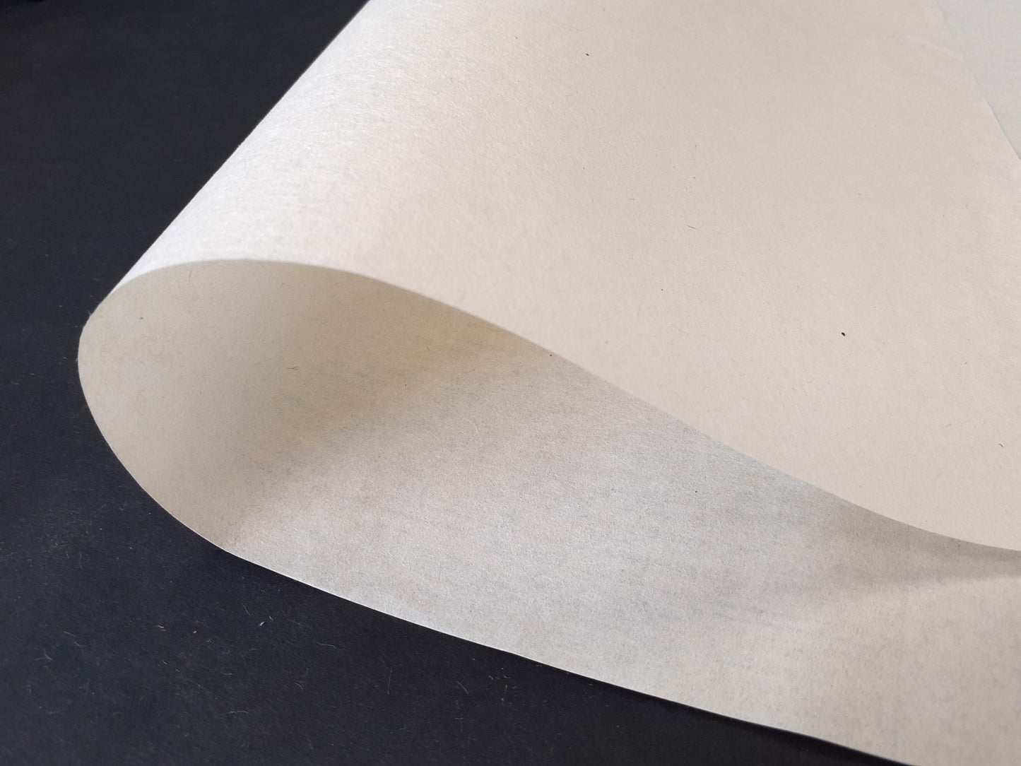 本草画仙紙 未晒 <佐治産・楮使用>