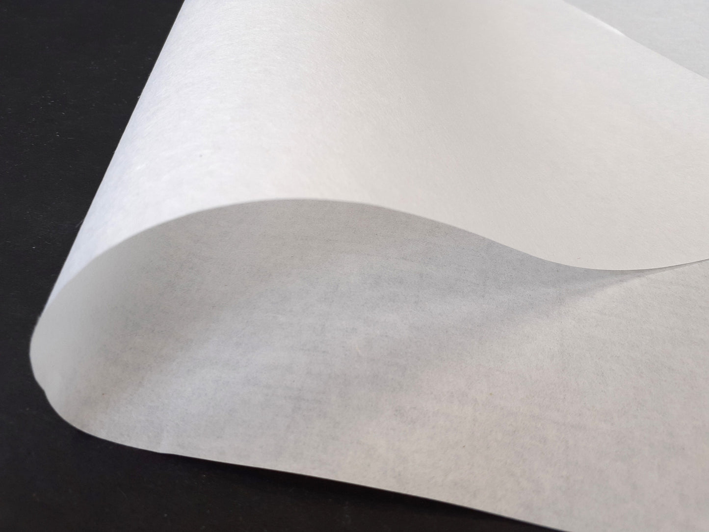 本草画仙紙 白 半切20枚袋入り