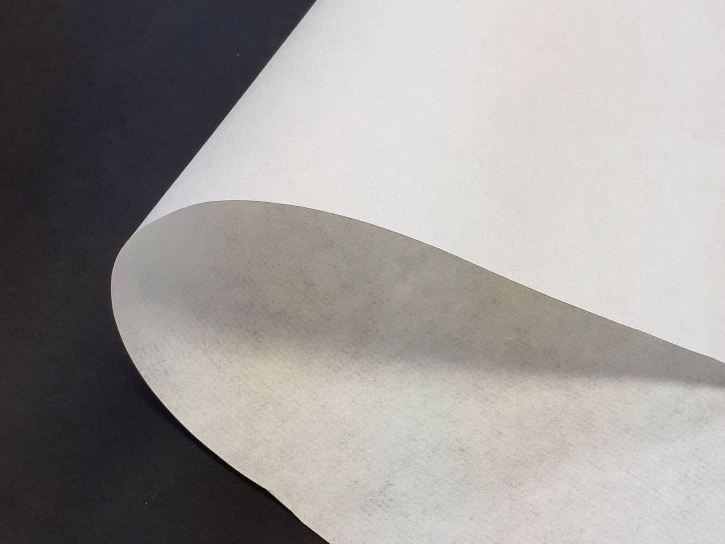 画仙紙 小雨箋〈佐治産〉