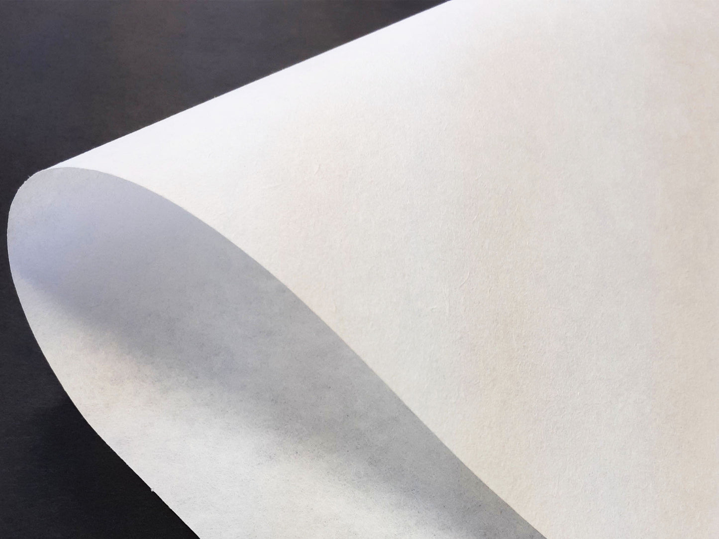 半紙 新竹〈青谷産〉