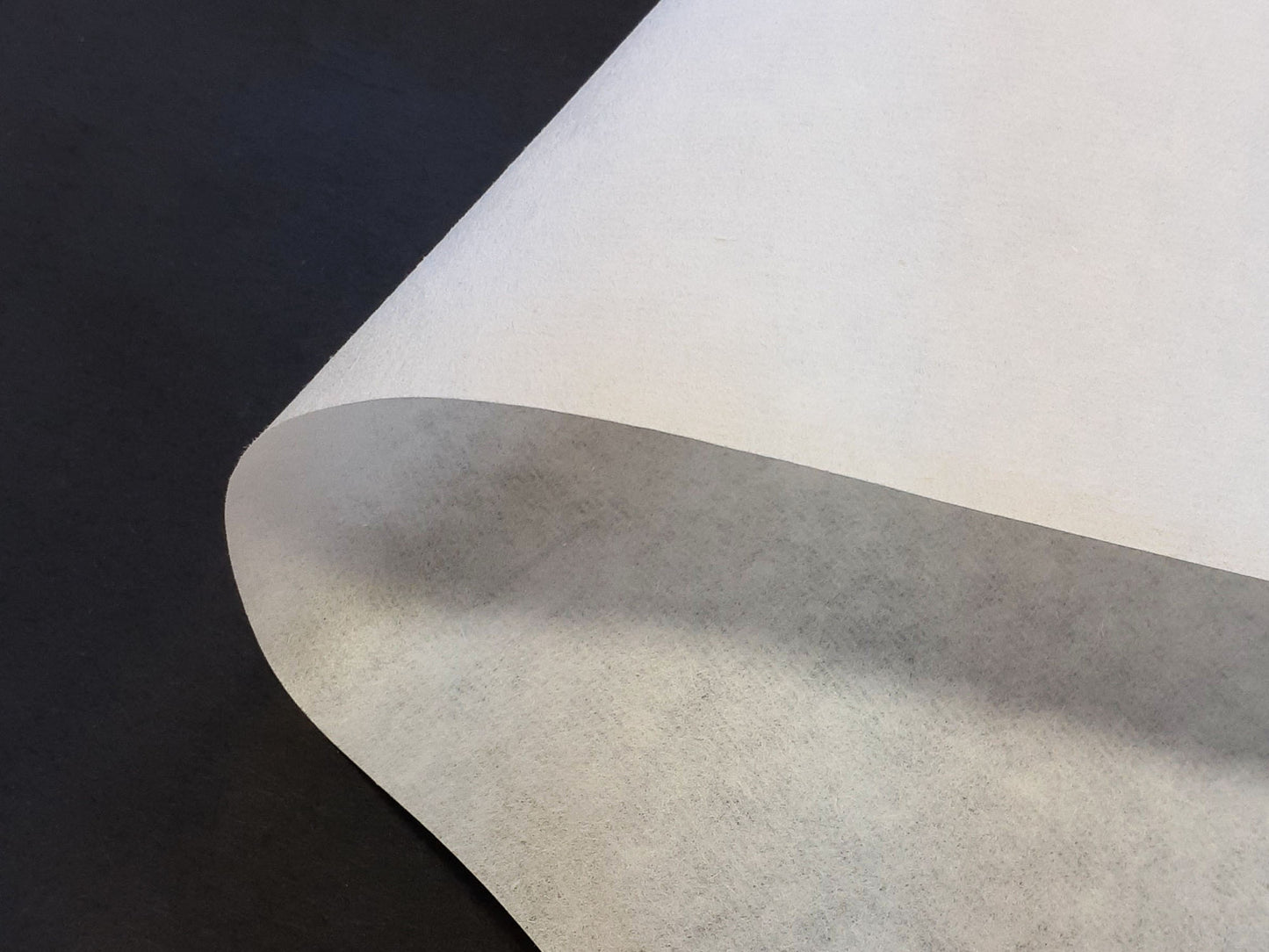 画仙紙 白有箋〈佐治産〉