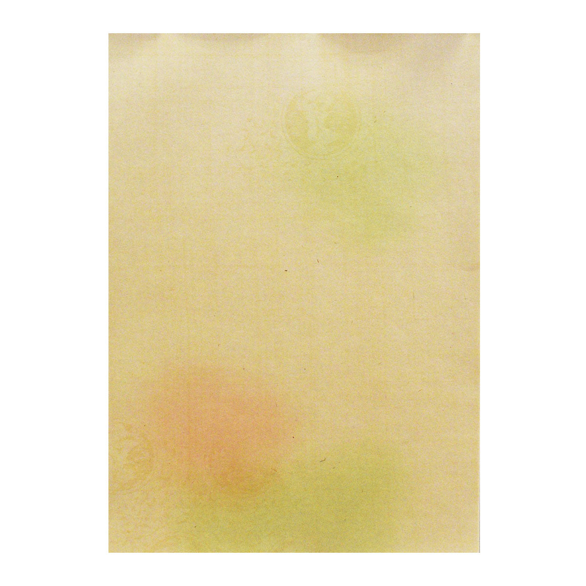 高級料紙 しかの 細字用