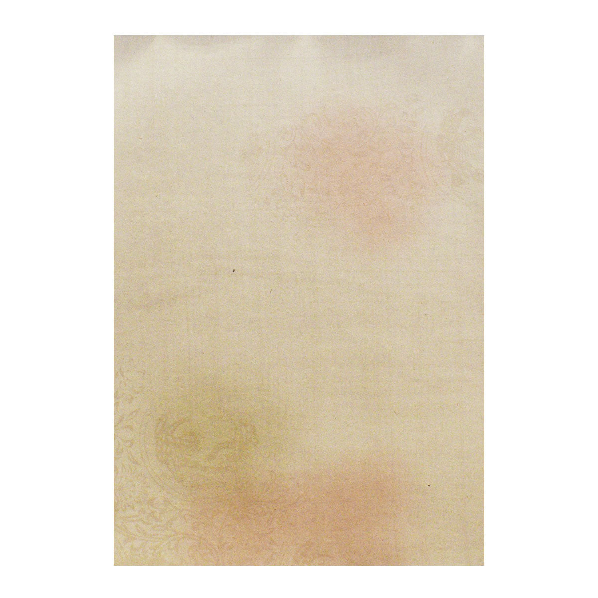 高級料紙 しかの 中字用