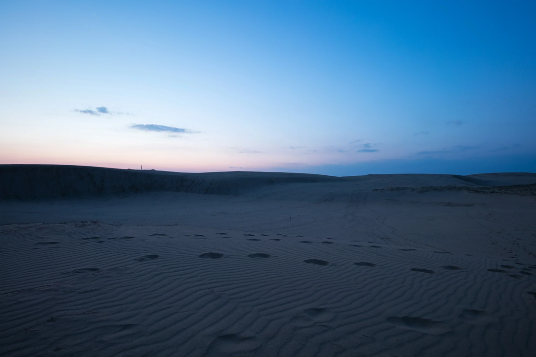 一年の終わりに寄せて