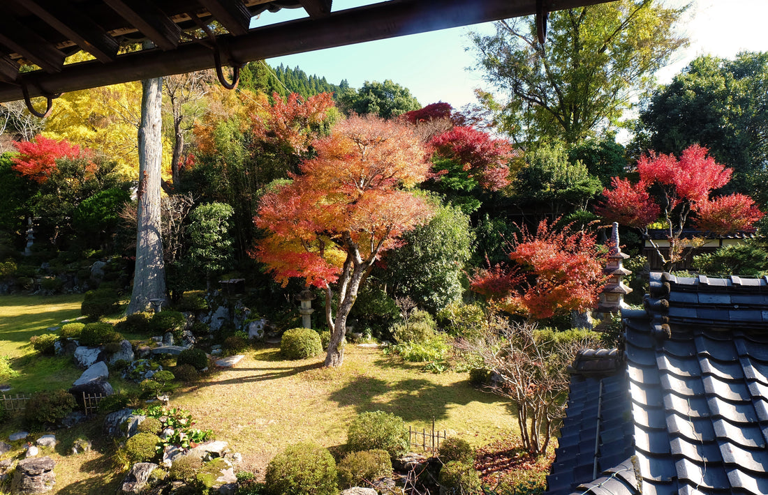 秋の智頭、庭園の彩りと工芸の温もり