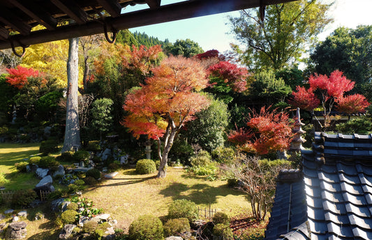 秋の智頭、庭園の彩りと工芸の温もり