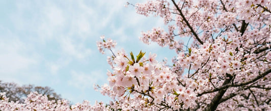 新生活、手紙のある時間