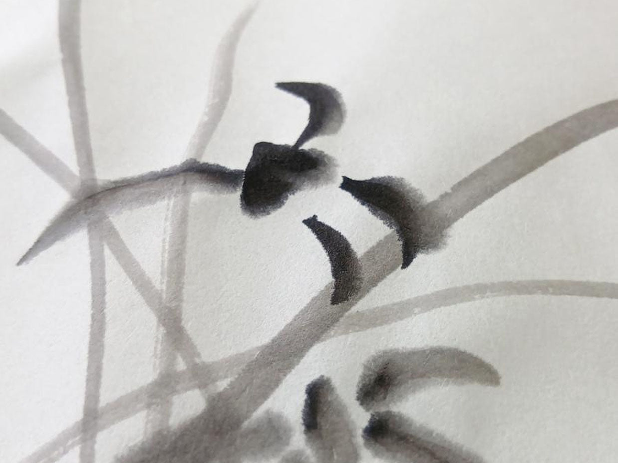 水墨画用紙　芥子園蘭　F5判　50枚