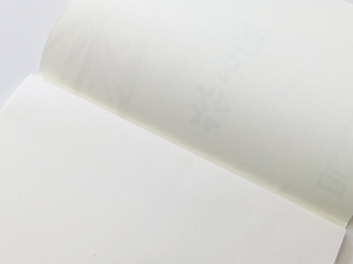 水墨画用紙　芥子園蘭　F5判　50枚