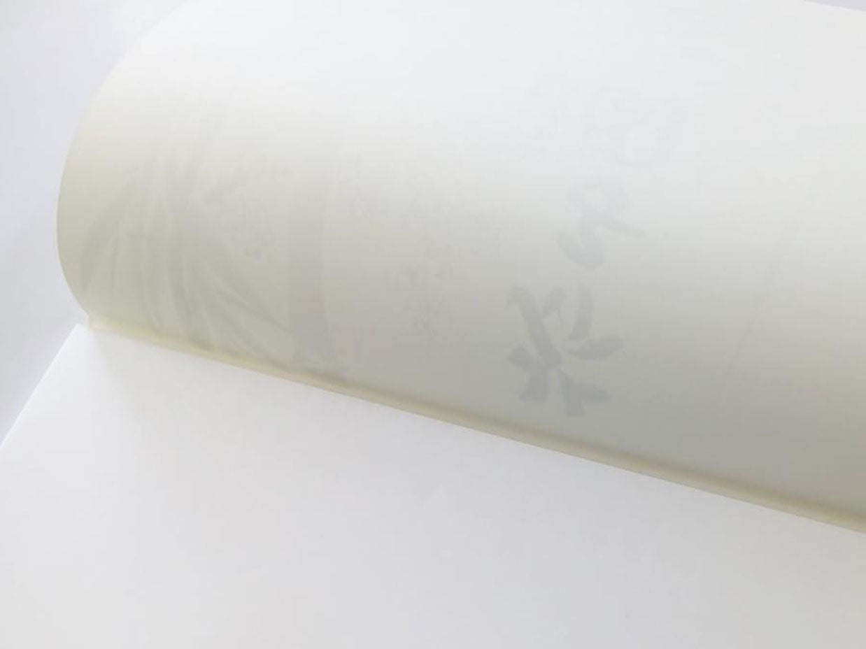 水墨画用紙　芥子園蘭　F6判　50枚