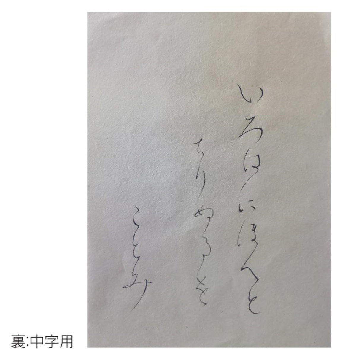 料紙　琴海