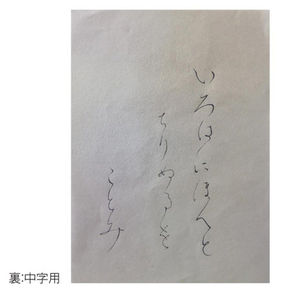 料紙　琴海